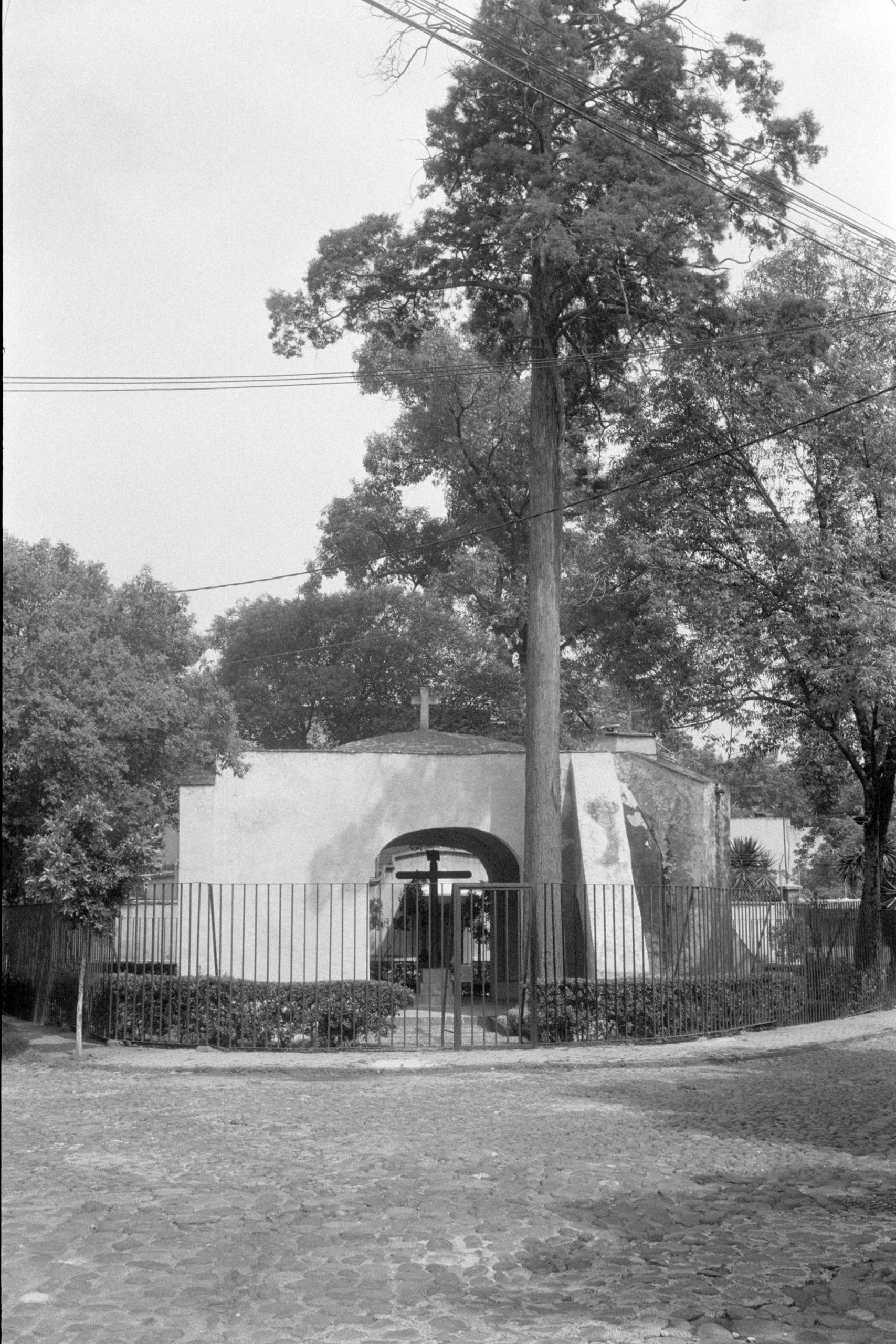 AHP FilmScan 240807 0595